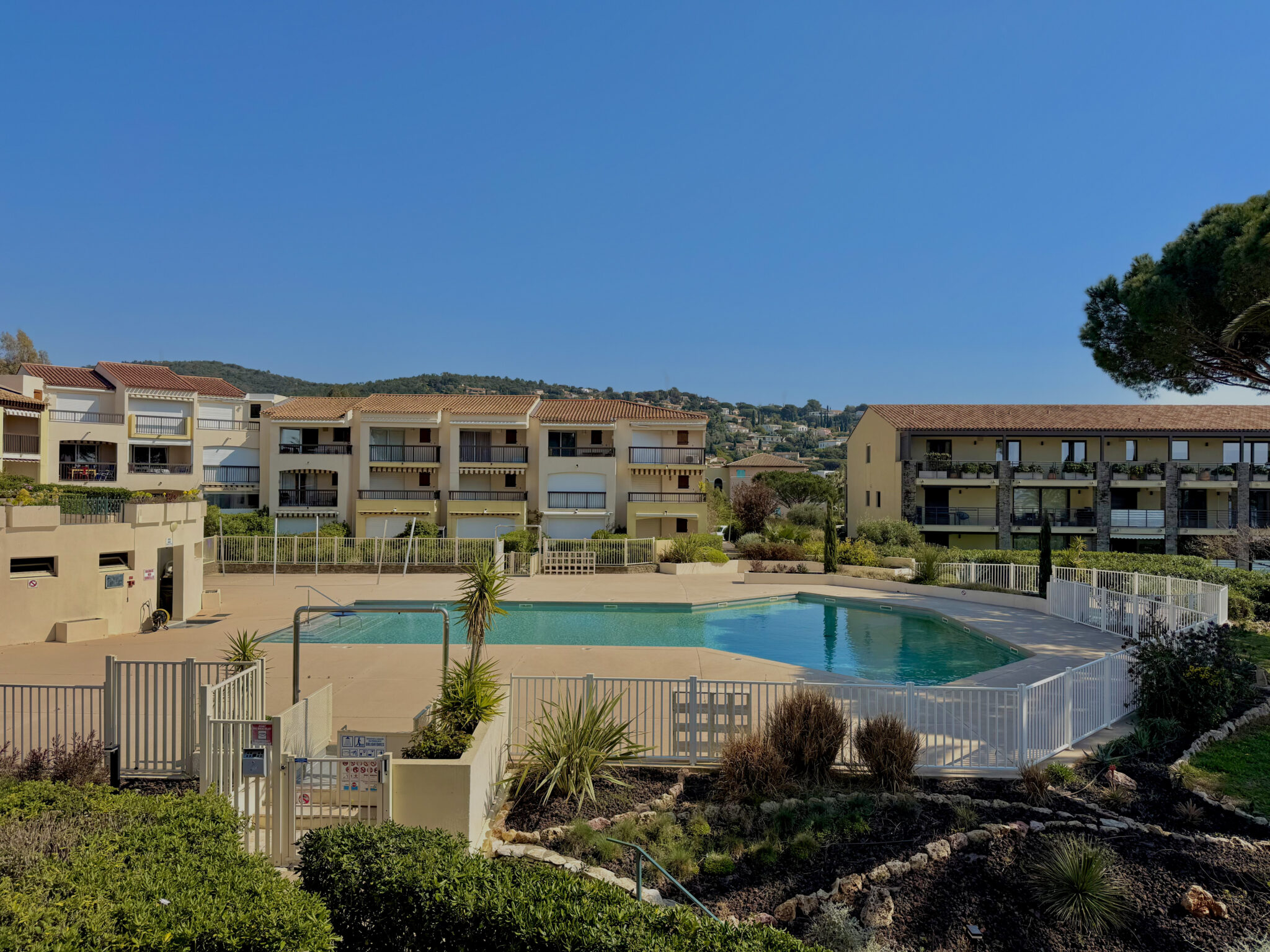 IMG_4102